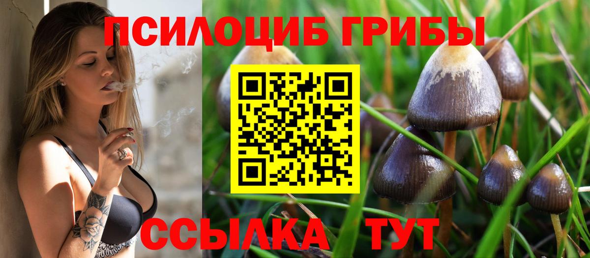 Галлюциногенные грибы GOLDEN TEACHER  Вход с VPN  Волгоград 